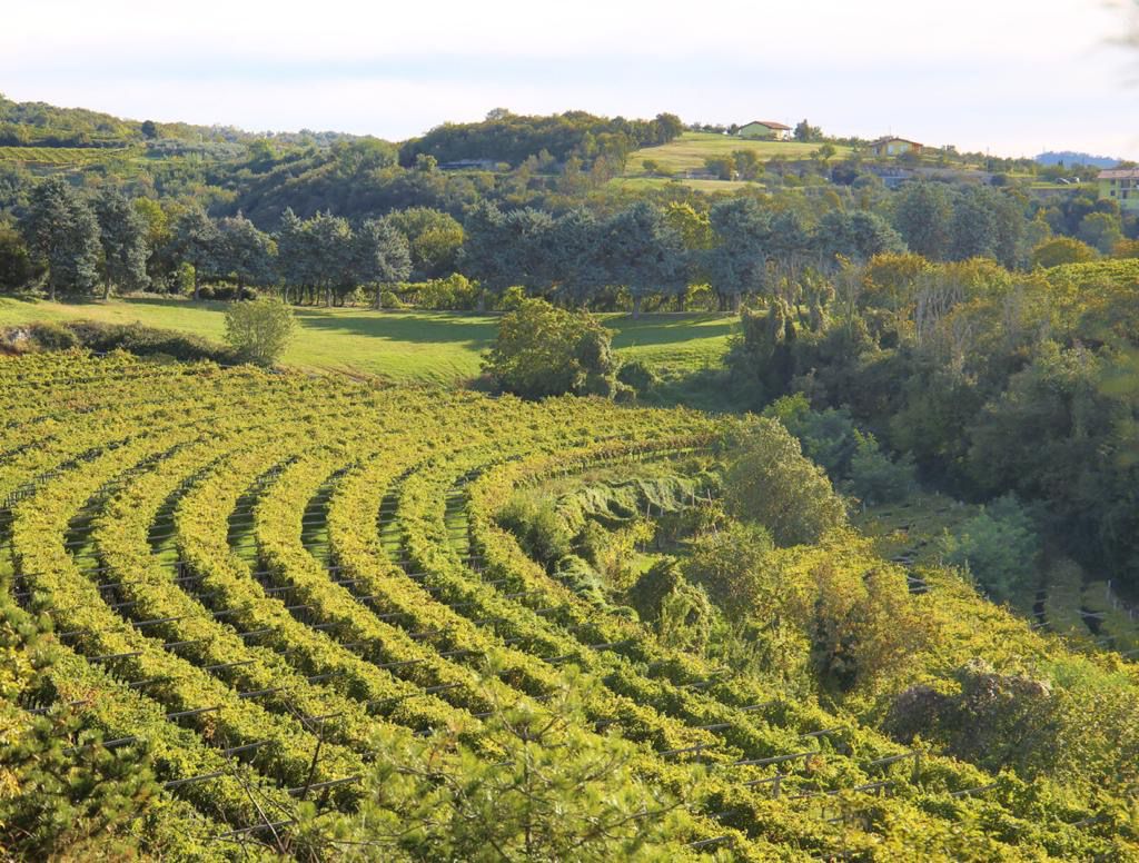 cantina Cà Pigneto