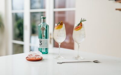 L’approccio sensoriale del Gin “perfetto”