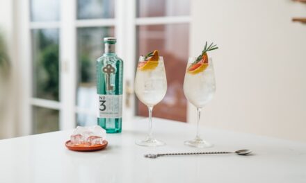 L’approccio sensoriale del Gin “perfetto”