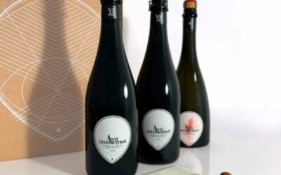 I “Wineheroes” di Anticelebration sbarcano in Piemonte