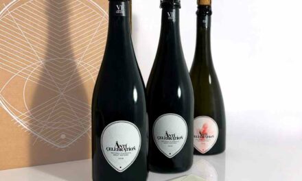 I “Wineheroes” di Anticelebration sbarcano in Piemonte