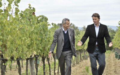 Il Borro acquisisce la Tenuta Pinino implementando l’offerta vitivinicola con il Brunello di Montalcino