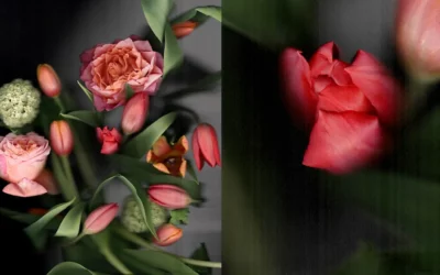 The Sound of Fragrance: Il tema della nuova installazione di Pitti Fragranze