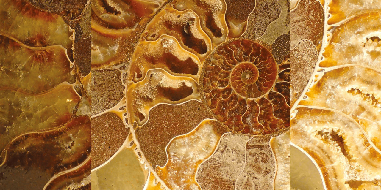 Thermae Il Tempio della Salute: dal mare fossile incontaminato di Salsomaggiore Terme le emozioni termali di bellezza
