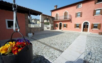 Cantina Suavia:  l’essenza femminile nel cuore del Soave