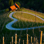 I luoghi romantici in Slovenia per un viaggio all’insegna dell’amore