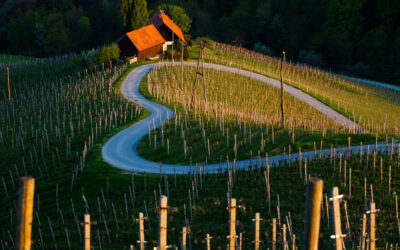 I luoghi romantici in Slovenia per un viaggio all’insegna dell’amore