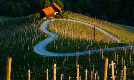 I luoghi romantici in Slovenia per un viaggio all’insegna dell’amore