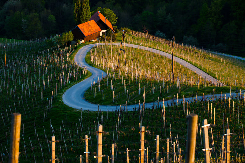 I luoghi romantici in Slovenia per un viaggio all’insegna dell’amore