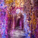 Campomarzio70 cura il percorso olfattivo della Mostra “Flowers. Dal Rinascimento all’Intelligenza Artificiale”