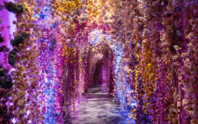 Campomarzio70 cura il percorso olfattivo della Mostra “Flowers. Dal Rinascimento all’Intelligenza Artificiale”