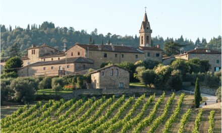 La Tenuta di Arceno: l’eccellenza vinicola nel cuore del Chianti