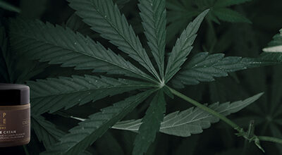 Hemp Care: la luxury skincare a base di Olio di Canapa