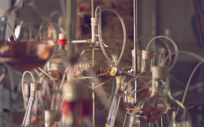 AVAU presenta “Olfactory Reflections” a Villa Bagatti Valsecchi