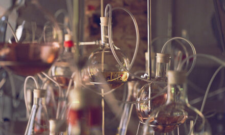 AVAU presenta “Olfactory Reflections” a Villa Bagatti Valsecchi