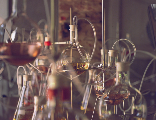 AVAU presenta “Olfactory Reflections” a Villa Bagatti Valsecchi