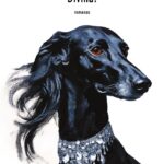 Tommaso Zorzi presenta il nuovo libro “DIVINA!”