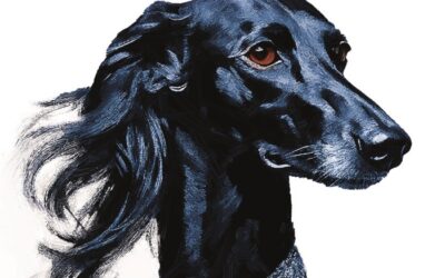 Tommaso Zorzi presenta il nuovo libro “DIVINA!”