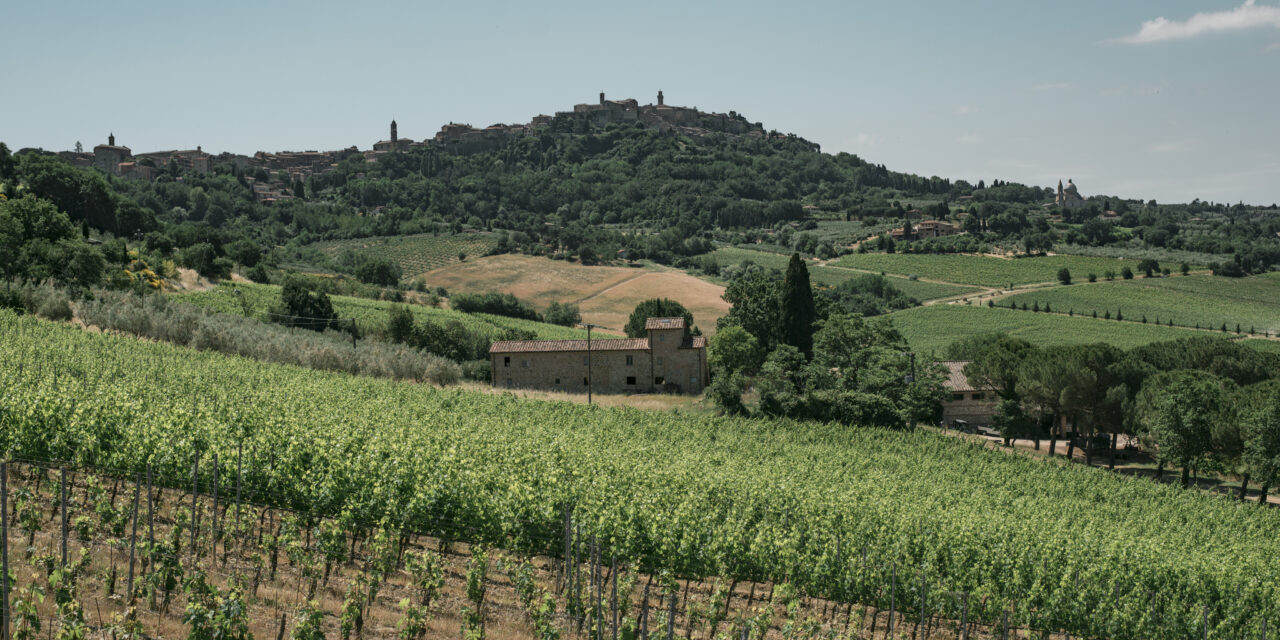 Tenute Talosa: il gioiello vitivinicolo nel cuore di Montepulciano