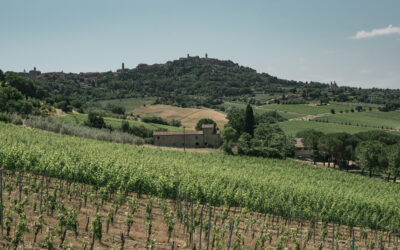 Tenute Talosa: il gioiello vitivinicolo nel cuore di Montepulciano