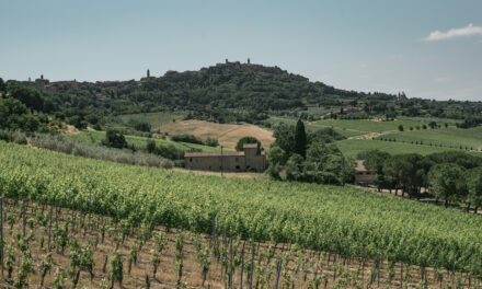 Tenute Talosa: il gioiello vitivinicolo nel cuore di Montepulciano