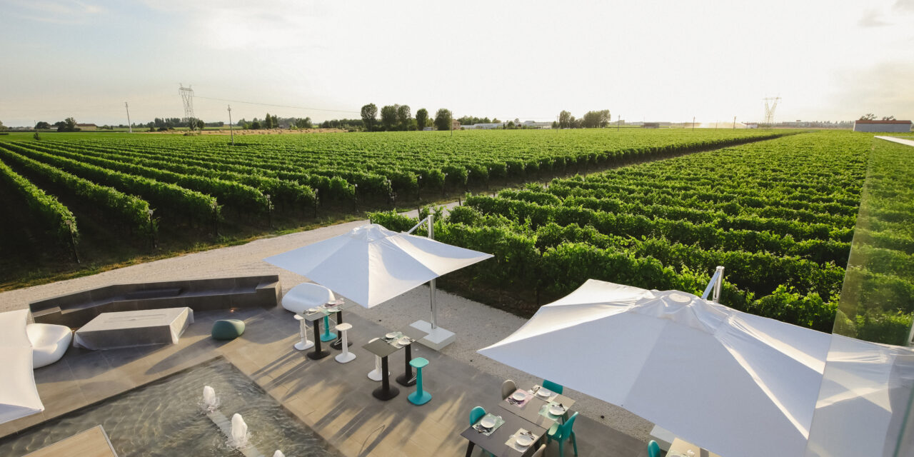 Cantina Ventiventi: l’eccellenza enologica nel cuore dell’Emilia-Romagna