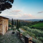 Vecchie Terre Montefili tradizione e sostenibilità nel cuore del Chianti Classico