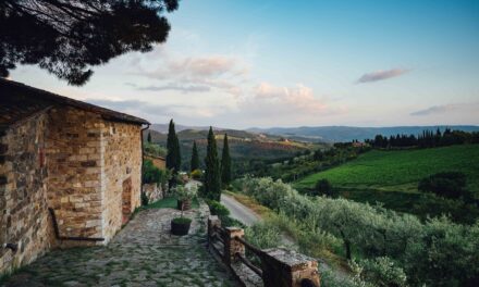Vecchie Terre Montefili tradizione e sostenibilità nel cuore del Chianti Classico
