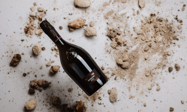 Andreola: l’eccellenza del Mas de Fer, Rive di Soligo Valdobbiadene DOCG Extra Dry
